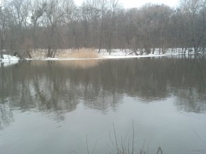 IMG_20180331_083223_472.jpg