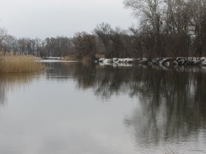 IMG_8537.JPG