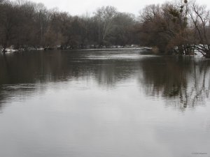 IMG_8538.JPG
