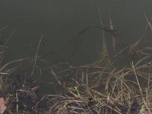 IMG_8540.JPG