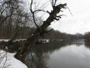 IMG_8541.JPG
