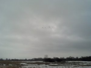 IMG_20180331_104356_834.jpg