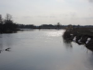IMG_8543.JPG