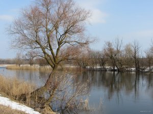 IMG_8544.JPG