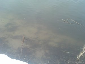 IMG_20180331_153437_388.jpg