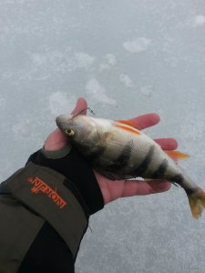 20180331_120821.jpg