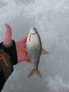 20180331_152419.jpg