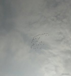 20180331_210029.jpg