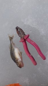 20180331_145105.jpg