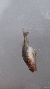 20180331_145055.jpg