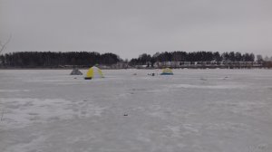 20180331_115554.jpg