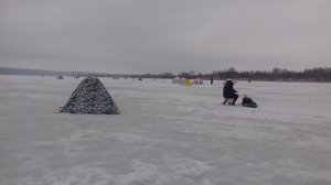 20180331_082245.jpg