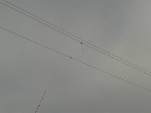 20180401_082105.jpg