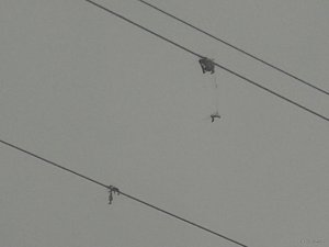 20180401_082119.jpg