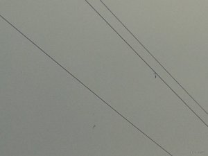 20180401_082130.jpg
