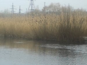 20180401_082137.jpg