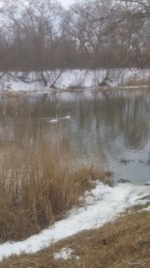 IMG_20180401_094348_530.jpg