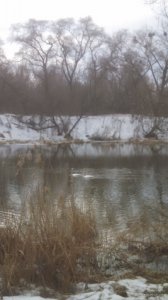 IMG_20180401_094419_564.jpg