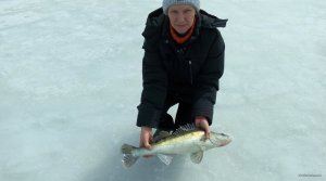 IMG_20180401_131300.jpg