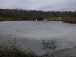 20180403_092628.jpg