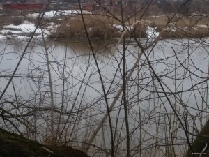 20180403_092451.jpg