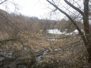 20180403_092401.jpg