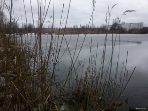 20180403_092134.jpg