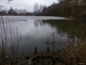 20180403_092130.jpg