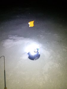 IMG_20180401_044608.jpg