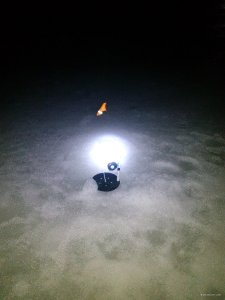 IMG_20180401_051505.jpg