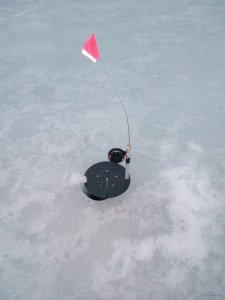 IMG_20180401_060328.jpg