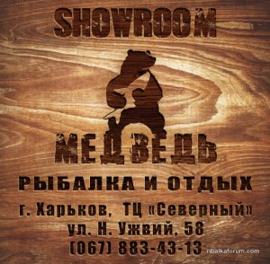 лого медведь.jpg