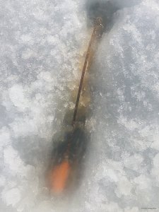 IMG_20180401_154421.jpg