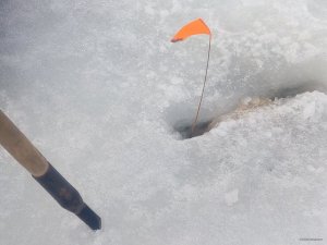 IMG_20180401_160408.jpg
