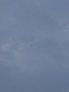 IMG_20180401_064003.jpg