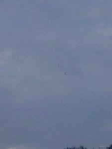 IMG_20180401_064005.jpg