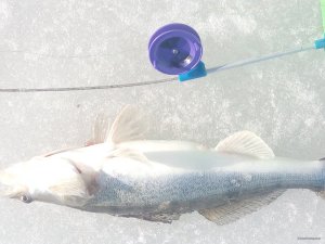 IMG_20180401_163041.jpg