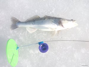IMG_20180401_163049.jpg