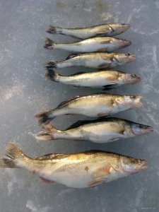 IMG_20180401_175847.jpg