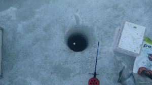 IMG_20180403_172515.jpg