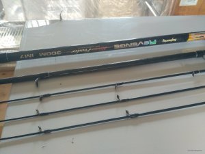 IMG_20180404_110233.jpg