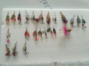 IMG_20180404_170323.jpg