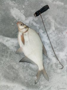 IMG_20180403_111914.jpg