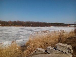 IMG_20180405_115515.jpg