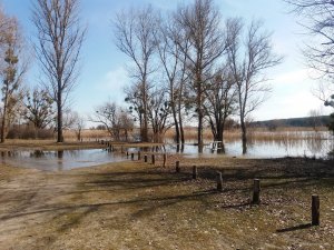 20180405_153746.jpg