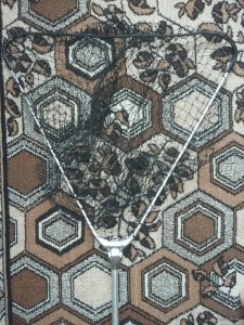 20180406_104244.jpg