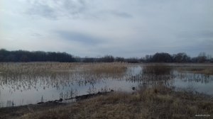 20180406_094338.jpg