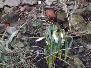 IMG_20180402_064654.jpg