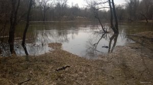 WP_20180407_025.jpg