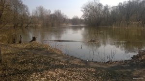 WP_20180407_026.jpg
